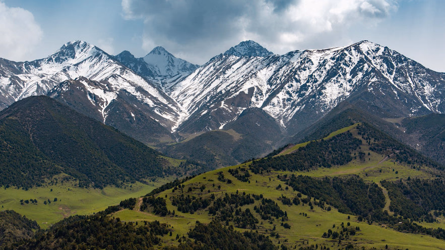Blog Cover Image
